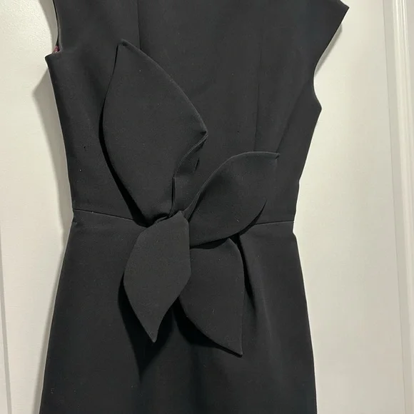 Ted Baker dress - Picture 5 of 12